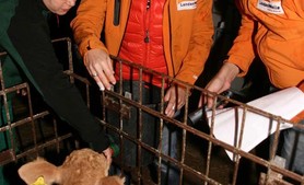 2014: Mission Bauernhof, Sina Peschke und Marco Fischer moderieren von einem Bauernhof