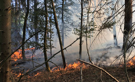 Foto. Feuerwehr Heilbad Heiligenstadt Facebook