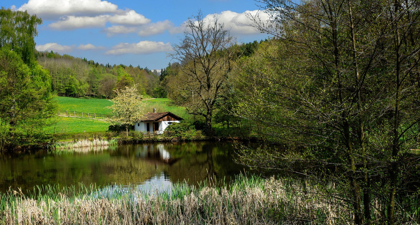 Der eigene Wald muss kein Traum mehr bleiben