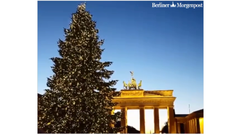 Weihnachtsbaum vorm Brandenburger Tor kommt auch dieses Jahr aus Thüringen