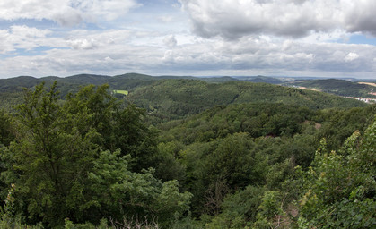 ThüringenForst verschönert Waldwege