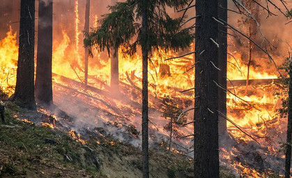 Wald- und Wiesenbrände an Christi Himmelfahrt