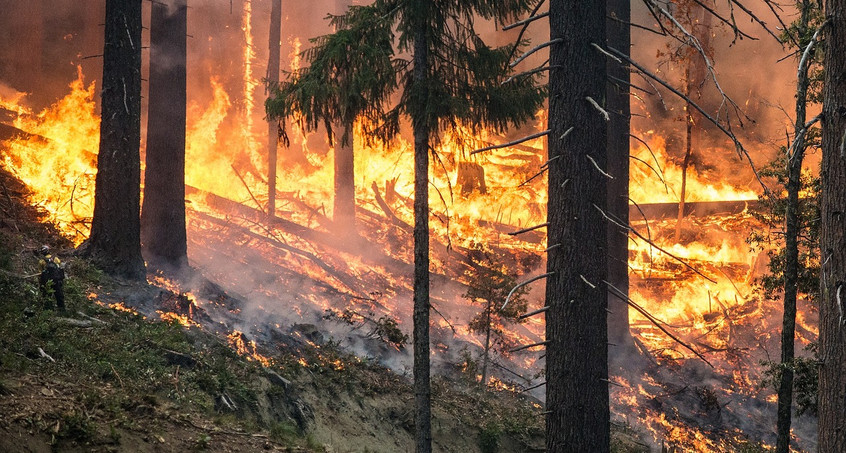 Wald- und Wiesenbrände an Christi Himmelfahrt