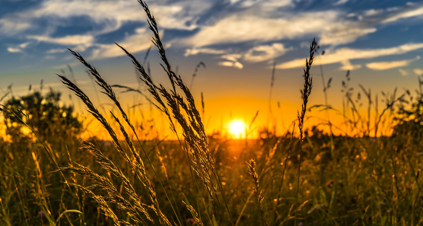 Sommer kehrt langsam zurück 