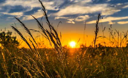 Sommer kehrt langsam zurück 