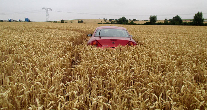 Das etwas andere Bett im Kornfeld