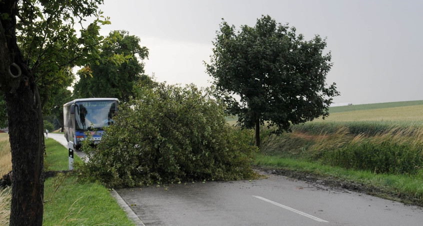 Sturm Mortimer sorgt für Schäden