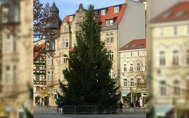 Eisenacher Weihnachtsbaum aufgestellt