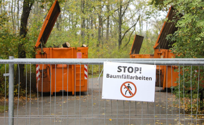 Baumfällarbeiten im Erfurter Zoo gehen weiter
