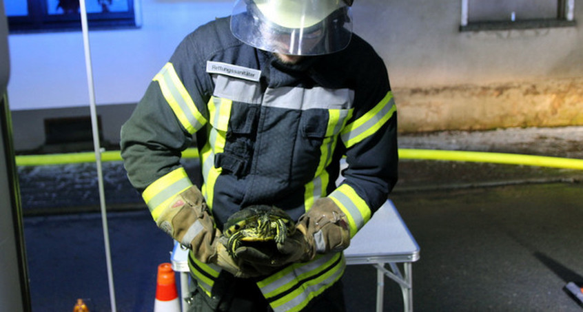 Schildkröte bei Wohnhausbrand gerettet, Bewohner verletzt