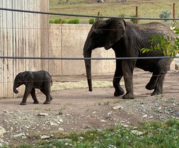 mutter-und-baby-nach-schlammbad