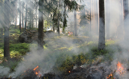 Waldbrand am Rennsteig unter Kontrolle