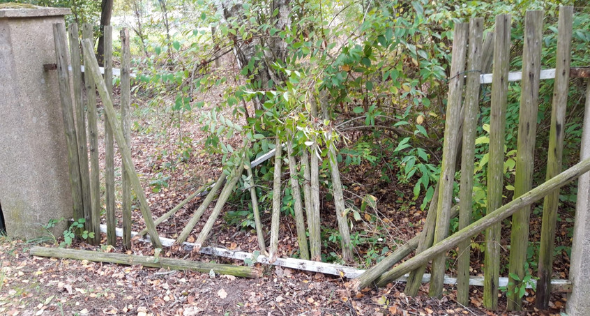 Einbruch im Elefantenreservat Starkenberg