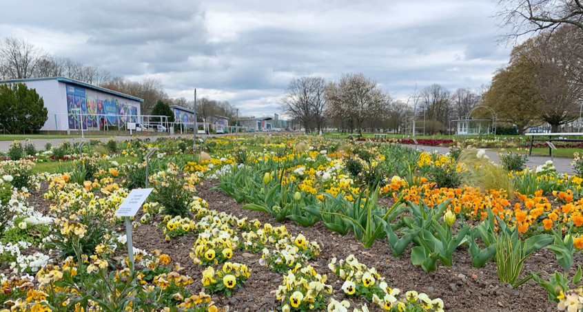 Bundesgartenschau in Erfurt soll planmäßig starten