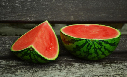 Ostthüringer Obstgut testet Anbau von Wassermelonen 