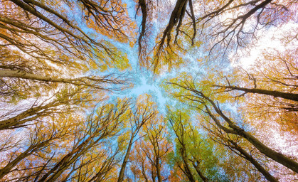 Der Herbst bringt wechselhaftes Wetter nach Thüringen