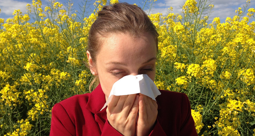 Pollenflug im Frühjahr - Diese Tipps gibt's für Allergiker 