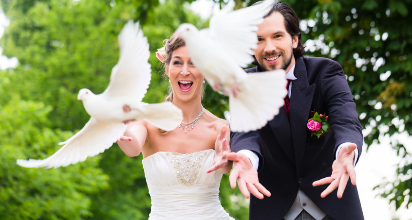 Erfurt prüft Verbot von Tauben an Hochzeiten