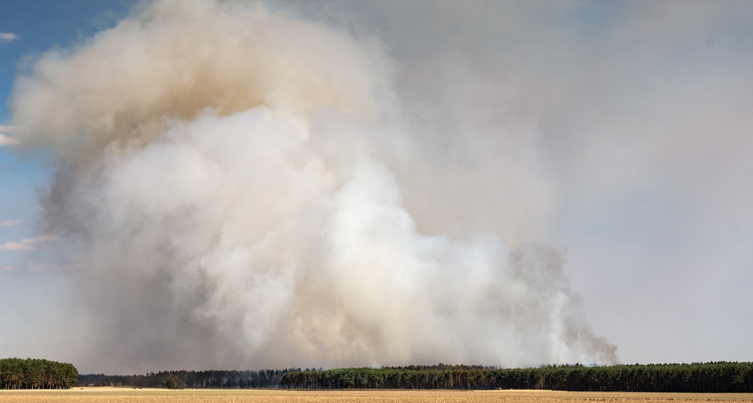 Waldbrandgefahr in Thüringen steigt 
