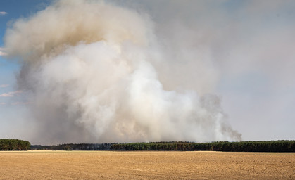 Waldbrandgefahr in Thüringen steigt 