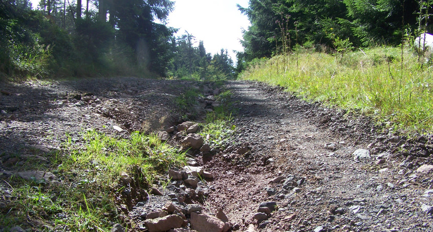 Anhaltender Regen macht Waldwegen zu schaffen 