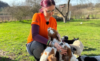 "Wir kämpfen ums Überleben" - Lebenshöfe und Tierheime operieren am Limit