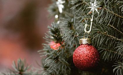 Oh Tannenbaum - Weihnachtsbaum-Saison ist gestartet!