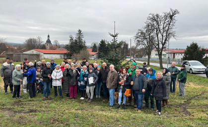 Happy End in Mönchenholzhausen: Es steht wieder ein Baum 