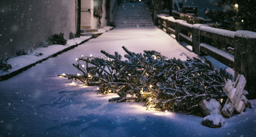 Ein zweites Leben für ihren Weihnachtsbaum