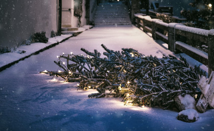 Ein zweites Leben für ihren Weihnachtsbaum