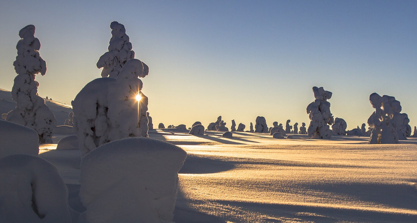 Lust auf Frost statt Frust durch Frost