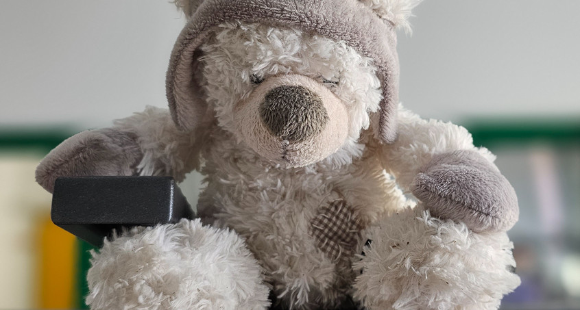 Thüringens traurigster Teddybär wartet seit einem Jahr auf Abholung