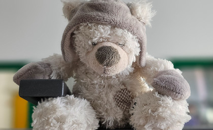 Thüringens traurigster Teddybär wartet seit einem Jahr auf Abholung