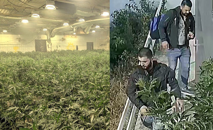 Illegale Hanfplantage: Polizei fahndet nach diesen Tatverdächtigen 