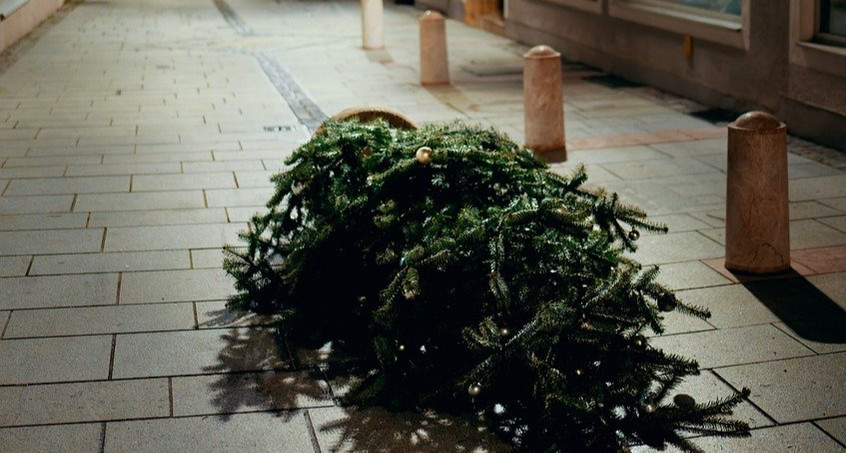 Weg mit dem Weihnachtsbaum - So geht es richtig!