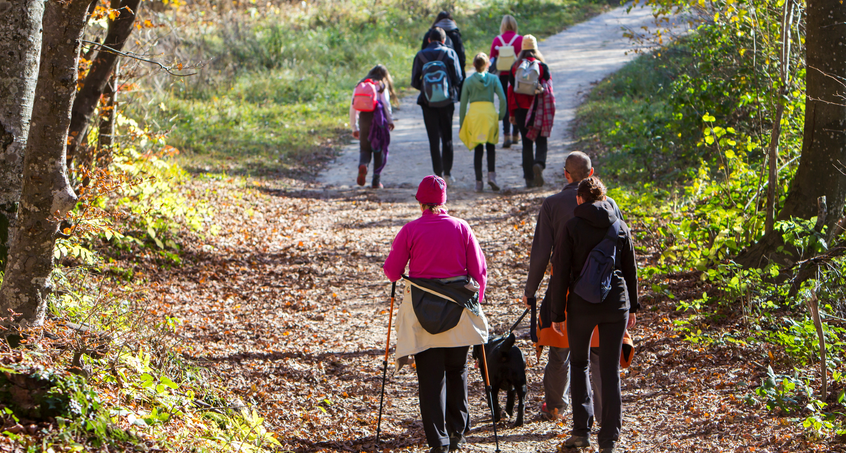 Bundesweiter "Tag des Wanderns" - Thüringen macht mit!