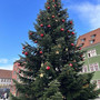 so-finden-die-rudolstaedter-ihren-weihnachtsbaum-2023-9cdb37d6-8c2f-440f-a365-16133a412db0_c_01