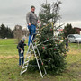 der-neue-baum-in-moenchenholzhausen-steht--baum-moechenholzhausen-4_c_01